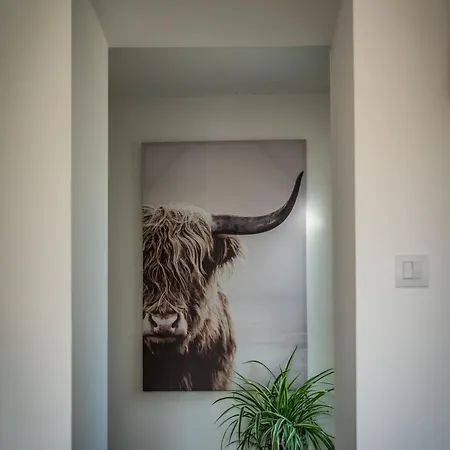 Belle Vue, Casa vacanze *